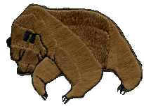 WB embroidered patch Brown Bear Shape